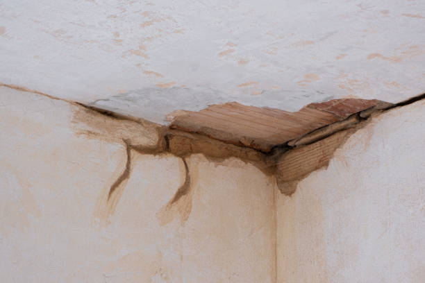 Best Local water damage restoration  in Heartland, TX