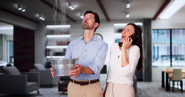 Best Ceiling water damage repair  in Heartland, TX